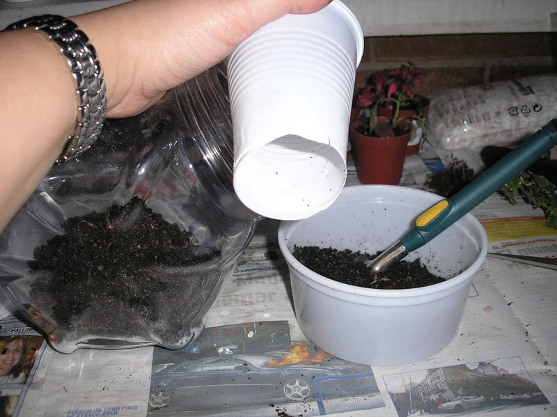 jardinbotella009.jpg