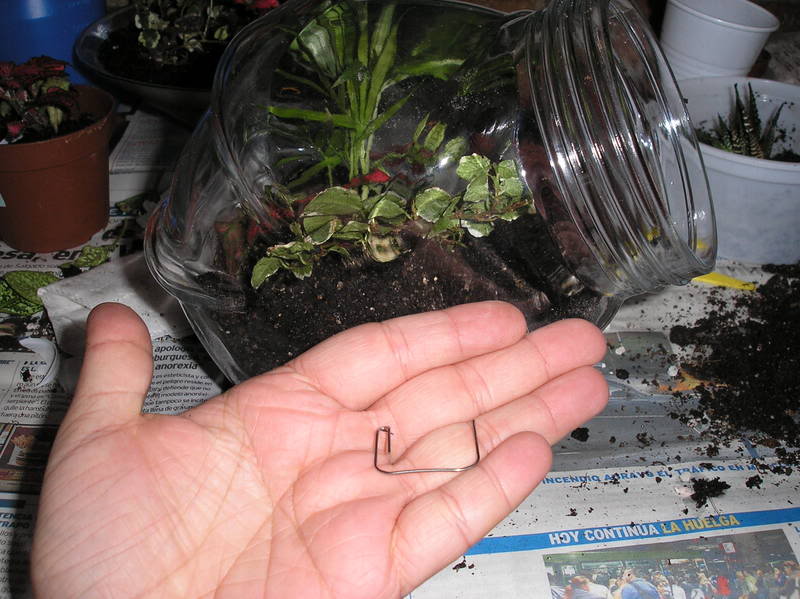 jardinbotella012.jpg