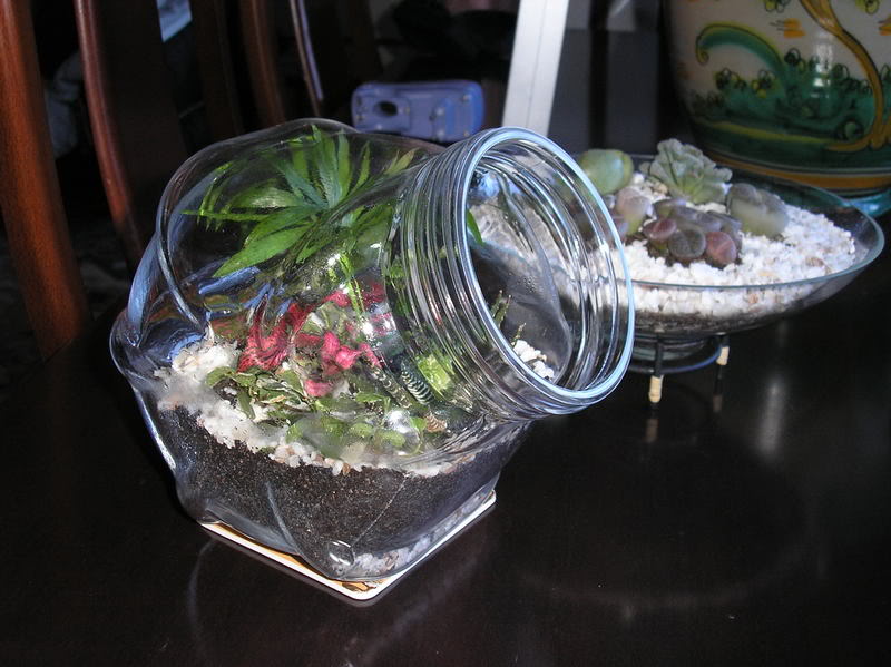 jardinbotella022.jpg