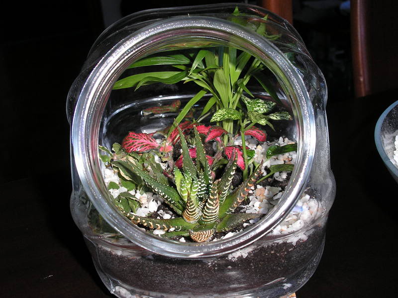 jardinbotella023.jpg