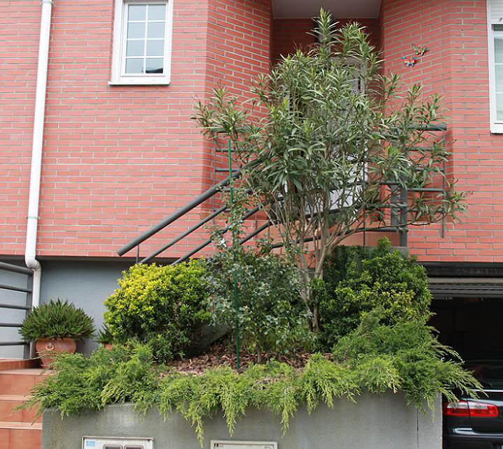 jardindelantero1.jpg