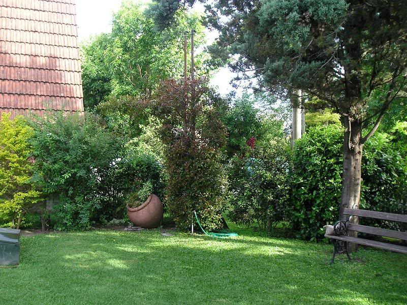 jardindeOfelia.jpg