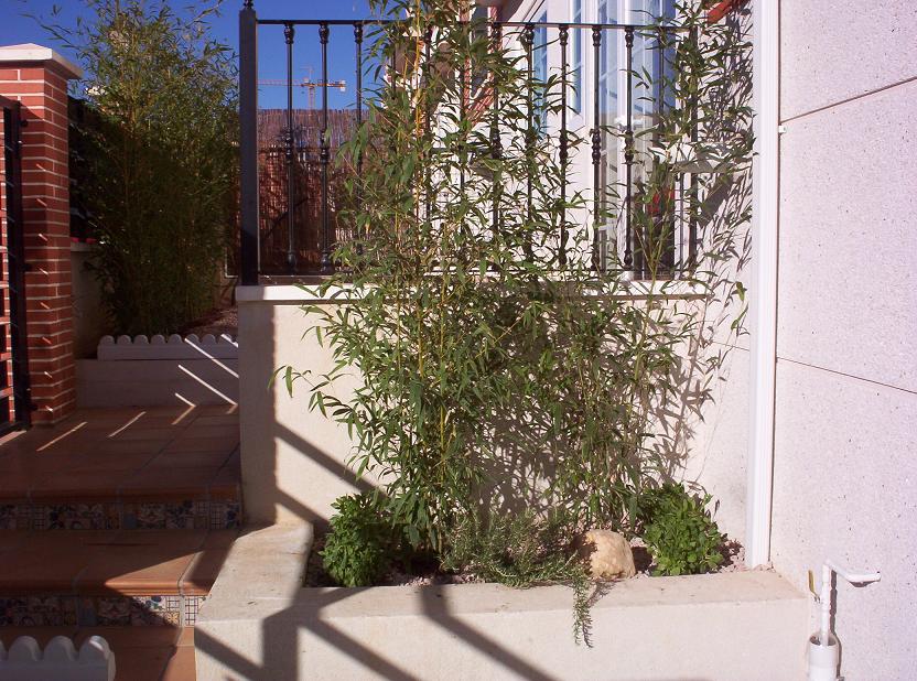 Jardinera%201.JPG
