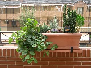 Jardinera%202.jpg