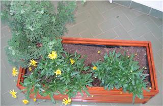 jardinera%20f.jpg