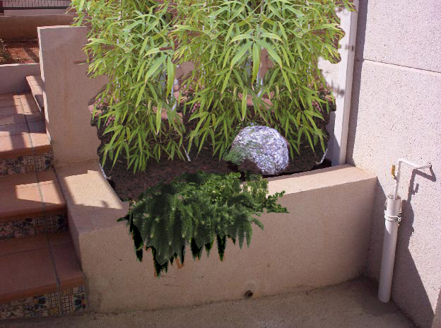 Jardinera%2520entrada%2520despu%25E9s%25201arreglada.jpg
