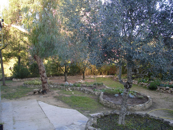jardinera central 007.jpg