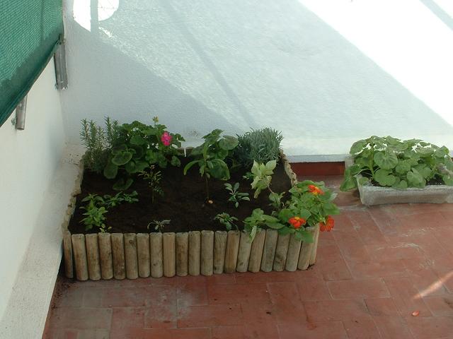 jardinera.JPG