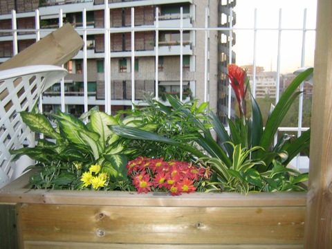 jardinera.JPG