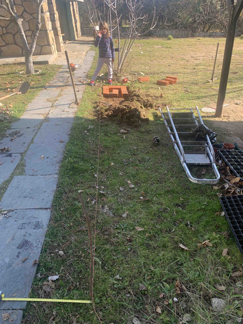 jardinera-pasillo01.jpg