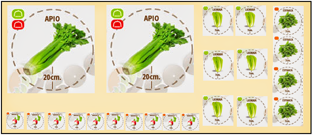 JARDINERA.png