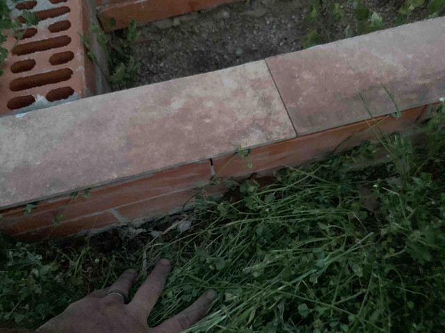 jardinera03.jpg