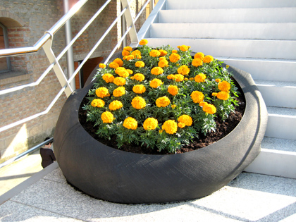 jardinera2.jpg