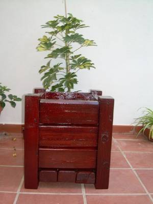 jardinera_21.JPG