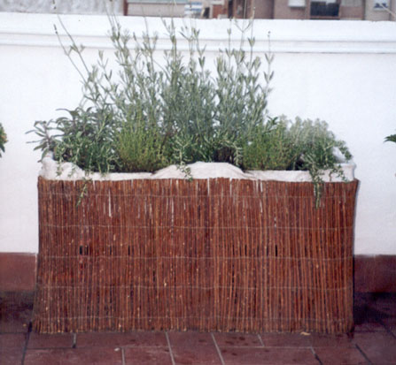 jardinera_Dr_Avalanche.jpg