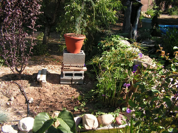 jardineracedro1.jpg