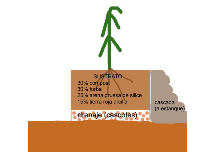 jardineracedro3.jpg