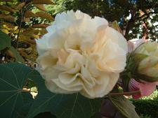 jardines%20005b.JPG