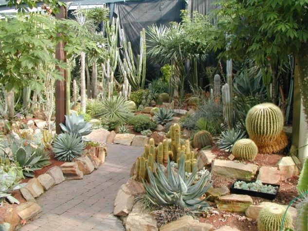 jardines-cactus-11.jpg