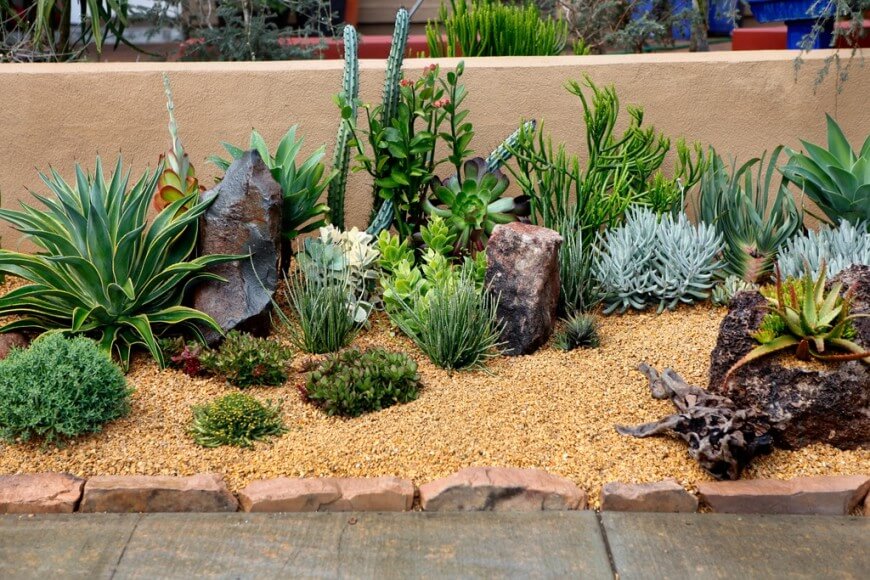 jardines-cactus-16.jpg