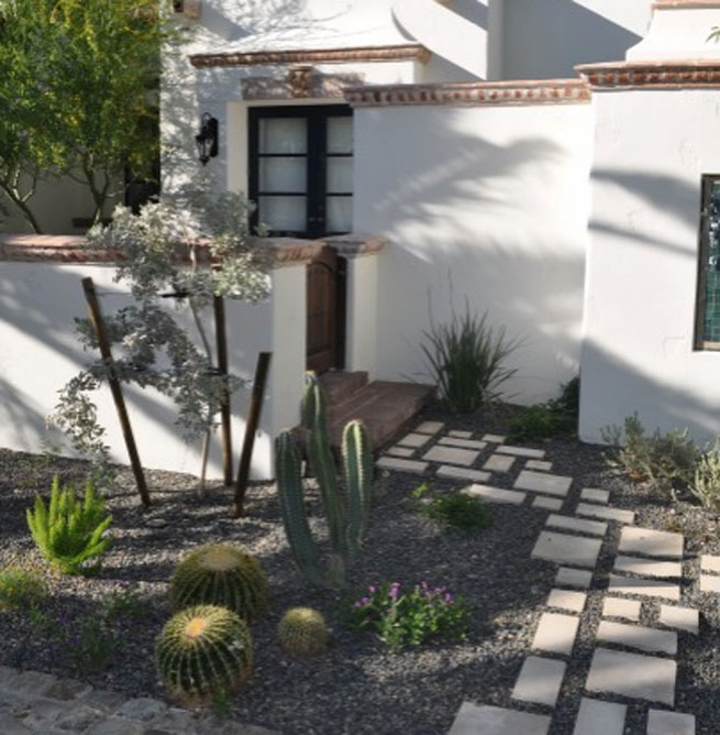 jardines-con-cactus3.jpg