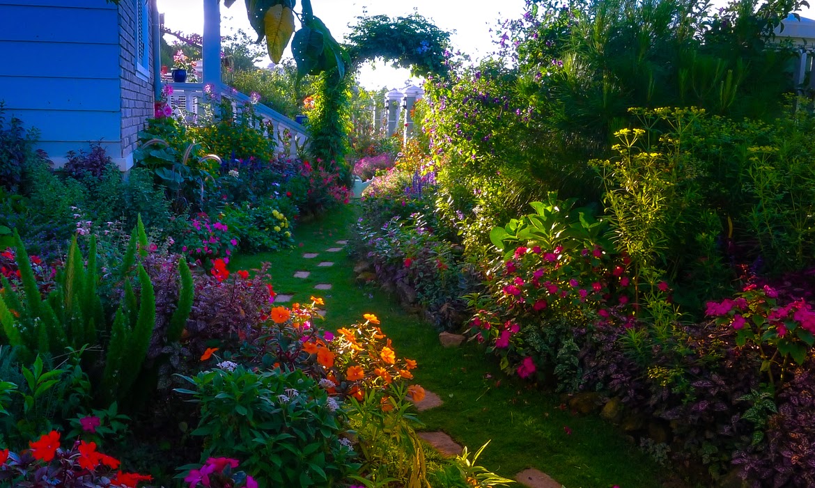jardines-con-flores-de-colores-colorful-garden.jpg