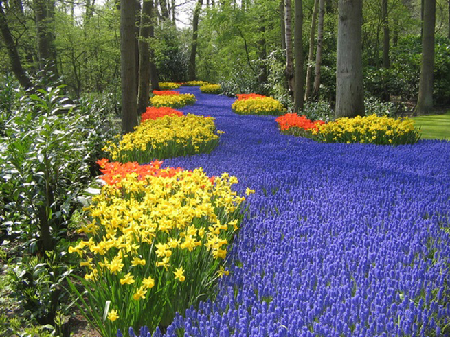 jardines-de-keukenhof-01.jpg