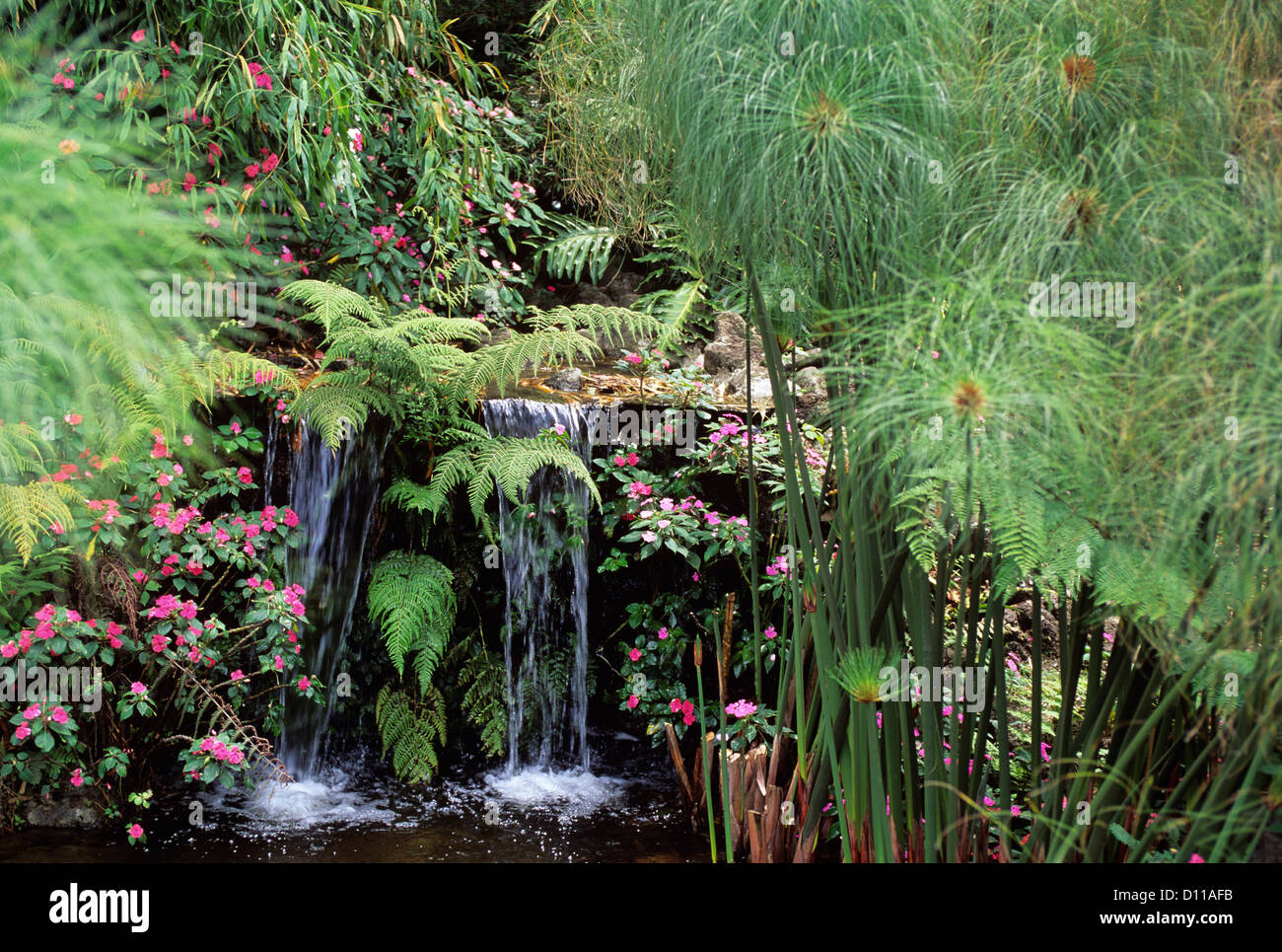jardines-lankester-cartago-costa-rica-d11afb.jpg