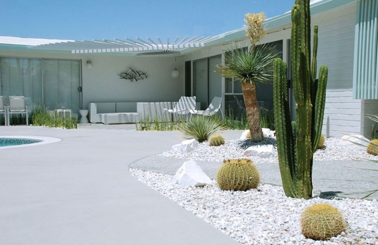 jardines-modernos-deco-cactus.jpg