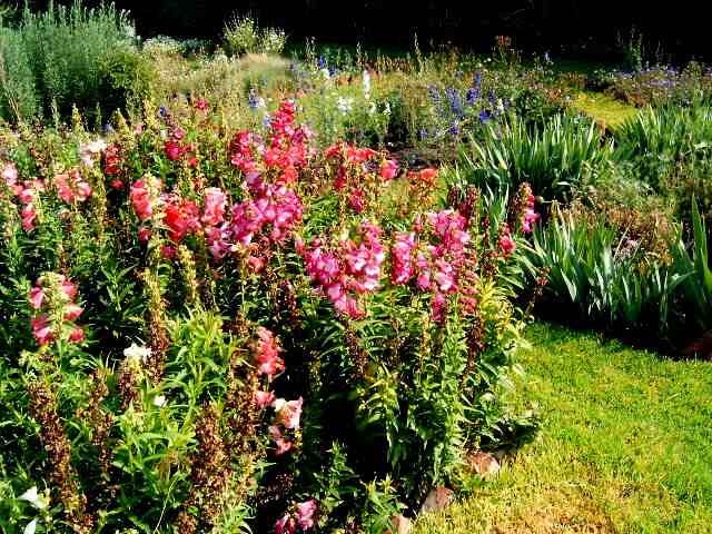JardinFlores-01.jpg