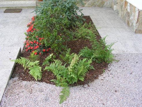 jardinmarian_111.jpg