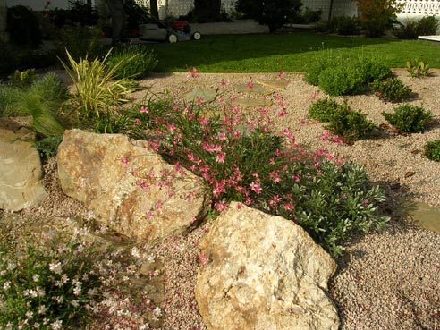 jardinmarian_123.jpg