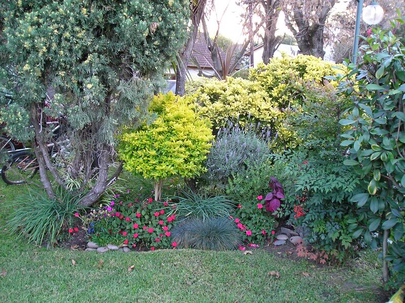 jardinofelia.jpg