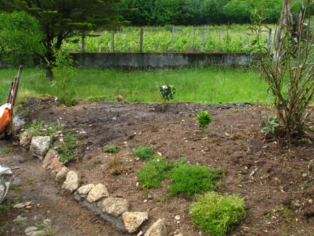 Jardinrecienplantadomayo2007042.jpg
