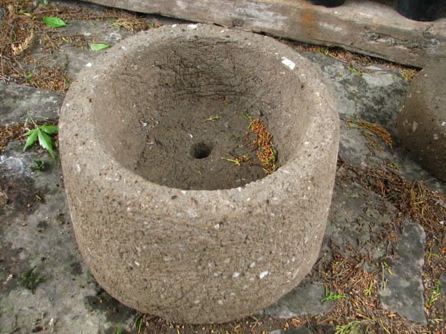 Jardinrecienplantadomayo2007051.jpg