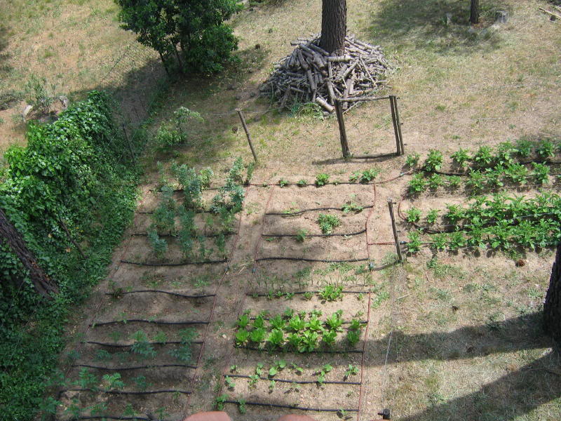 jardn2005_0011_1.jpg
