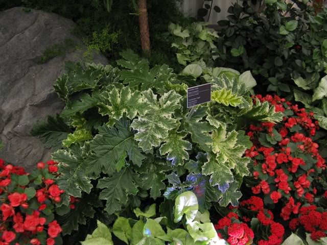 JBM_20111214_190.jpg