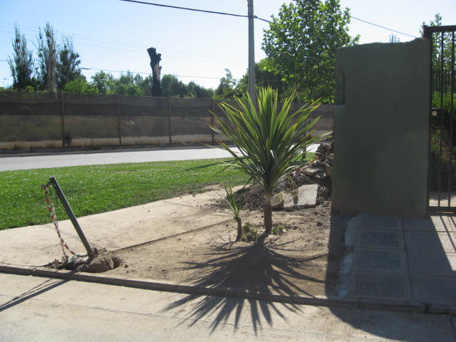 jdv1196630594l.JPG