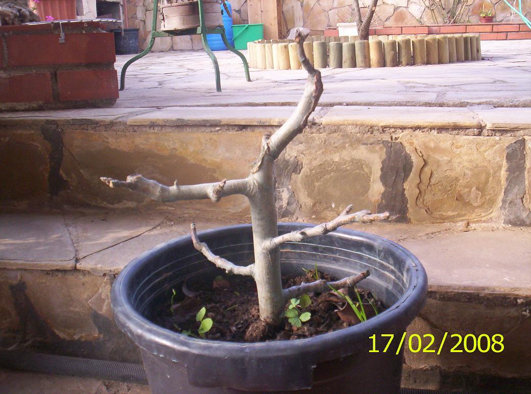 jdv1203280966p.jpg