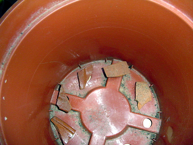 jdv1209684088f.JPG