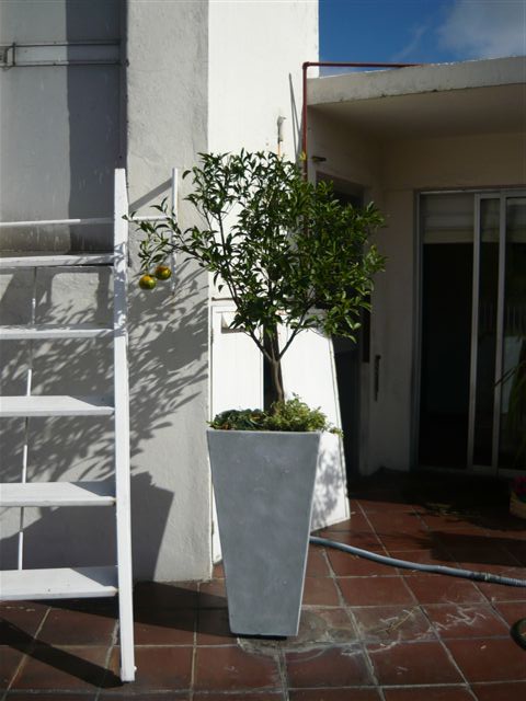 jdv1212186697a.JPG
