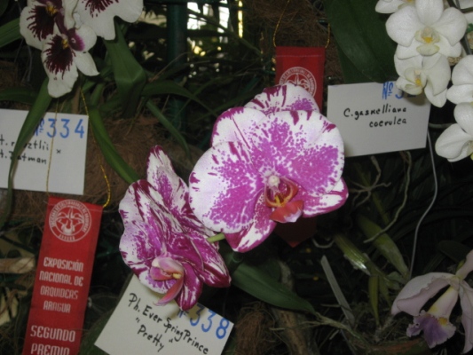 jdv1212285440c.JPG
