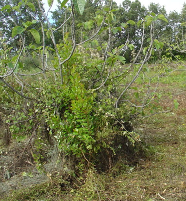 jdv1212339839c.JPG