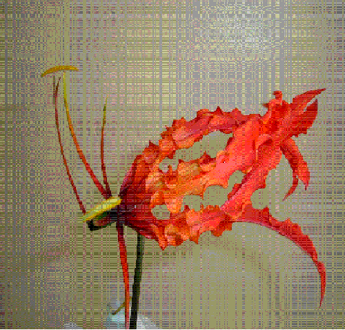 jdv1212454099i.GIF