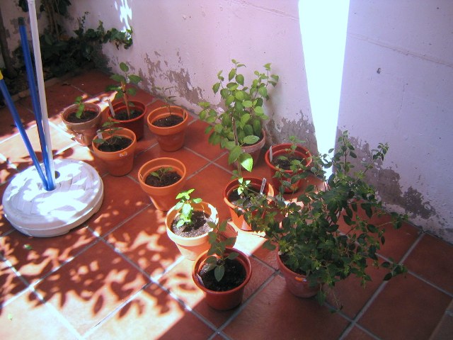 jdv1212505611k.JPG