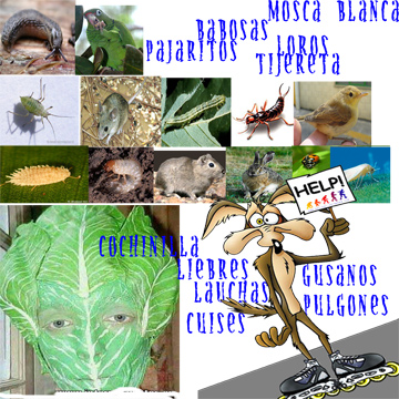 jdv1212606039a.jpg