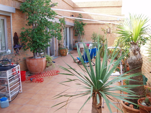 jdv1212611054r.jpg