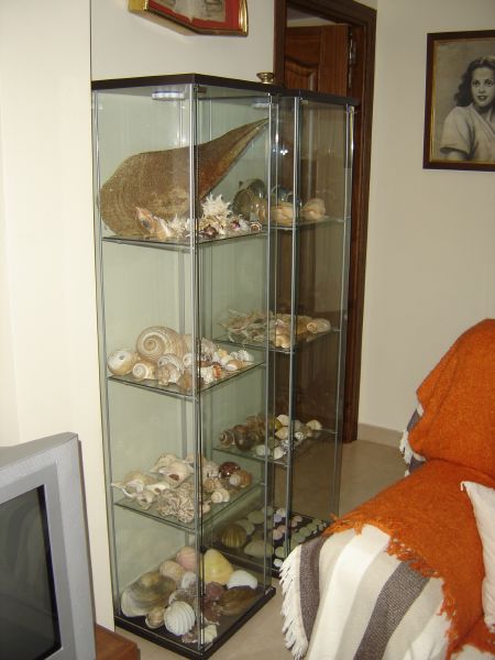 jdv1212678882w.jpg
