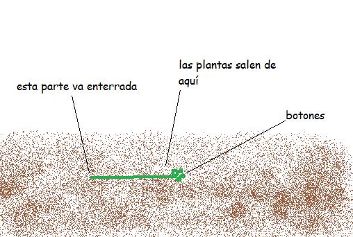 jdv1212701094q.jpg