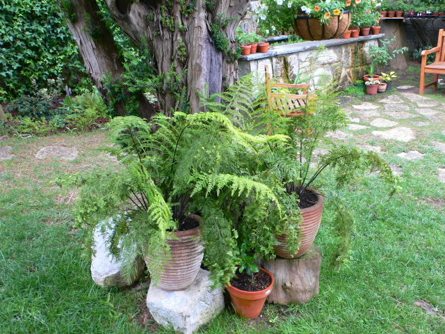 jdv1213554876w.JPG